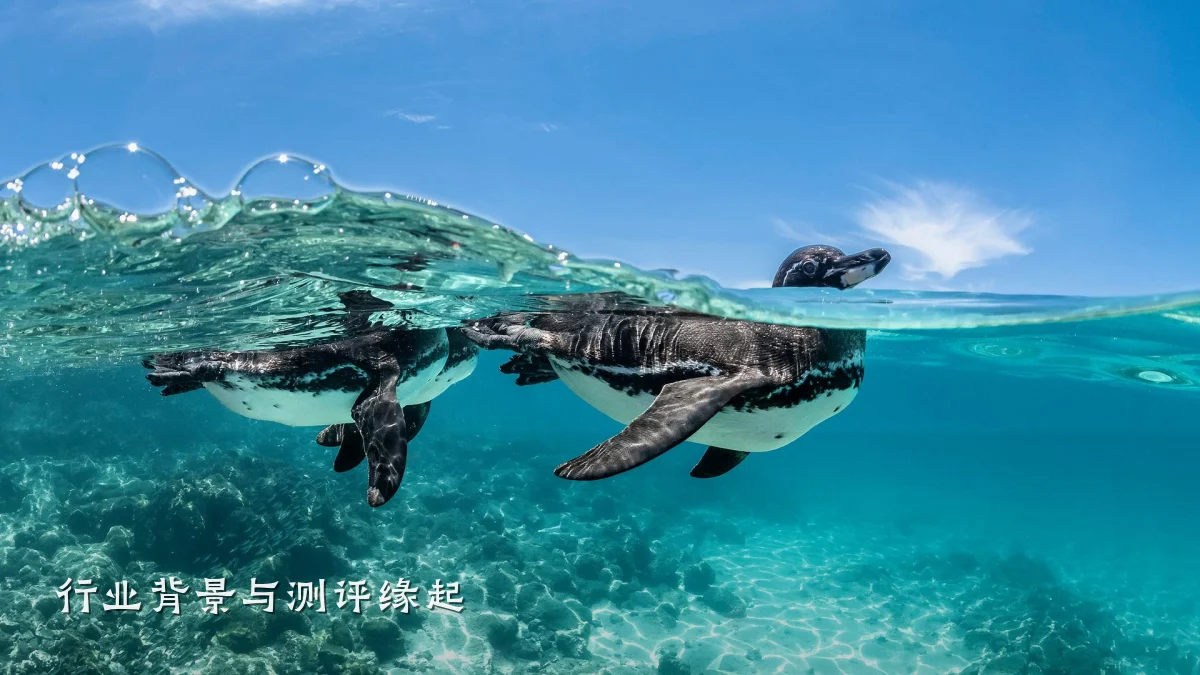 行业背景与测评缘起