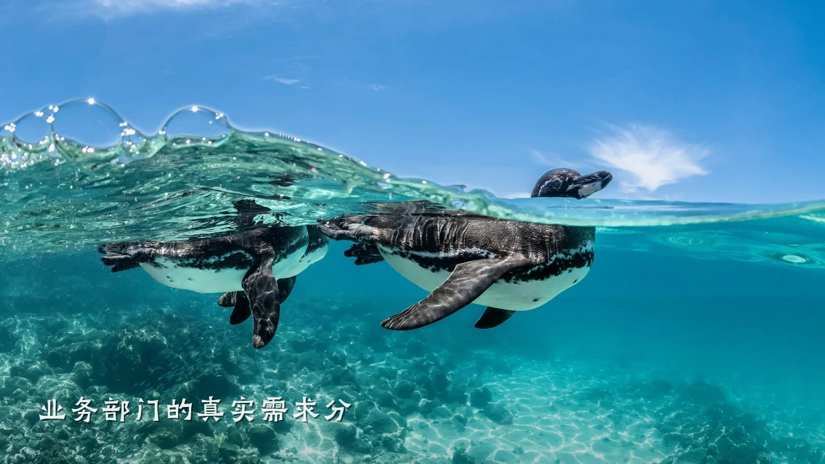 业务部门的真实需求分