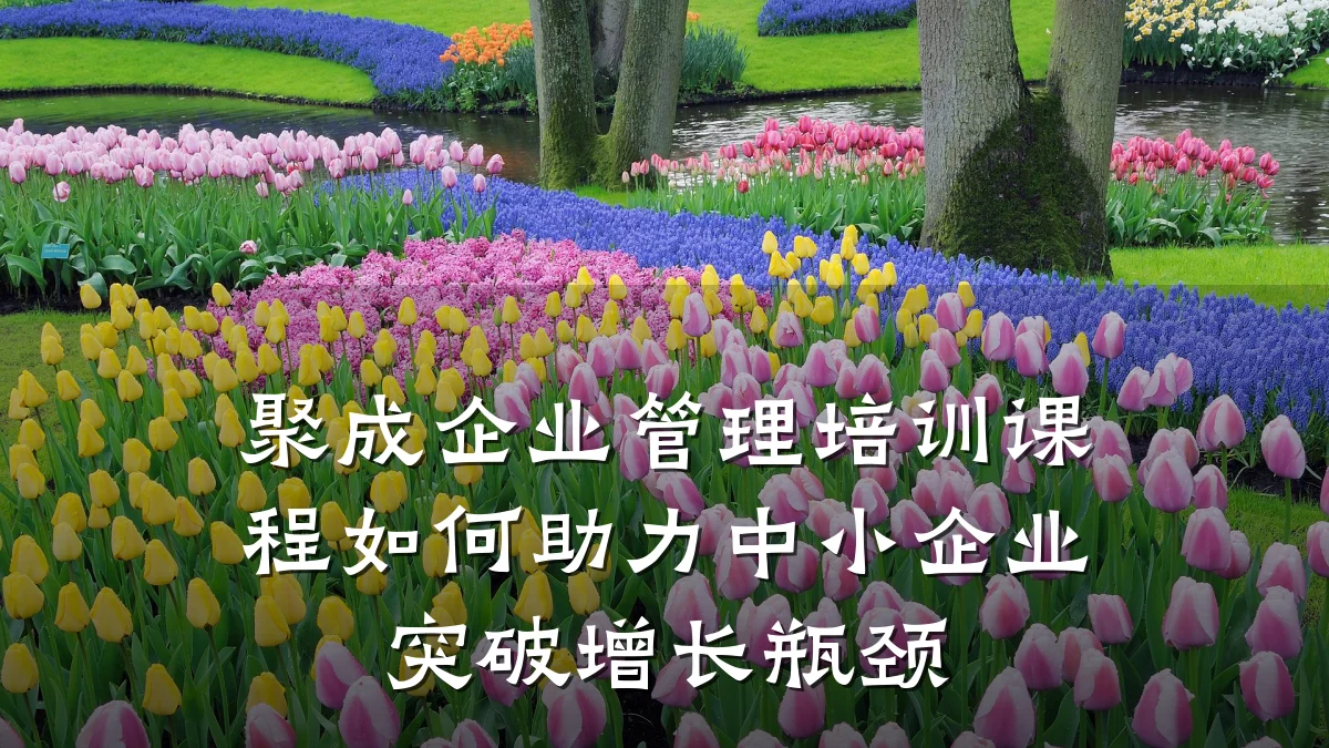聚成企业管理培训课程如何助力中小企业突破增长瓶颈