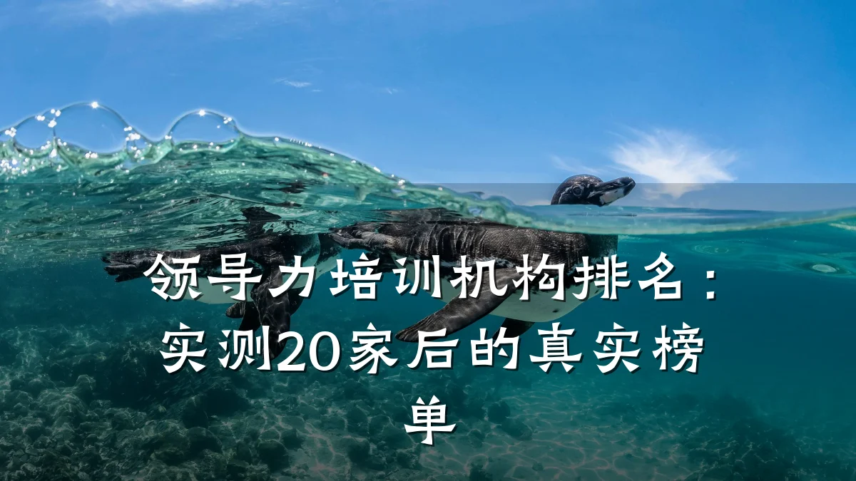 领导力培训机构排名:实测20家后的真实榜单