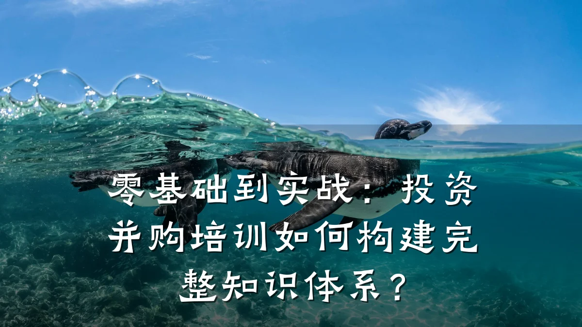 零基础到实战:投资并购培训如何构建完整知识体系?