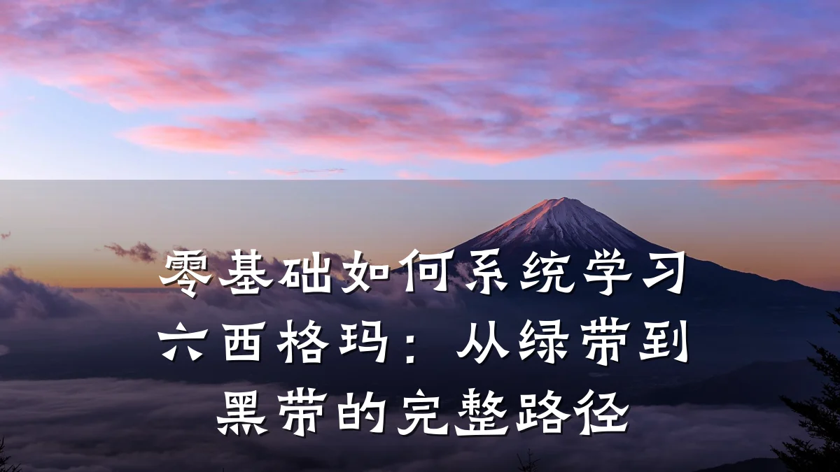 零基础如何系统学习六西格玛:从绿带到黑带的完整路径
