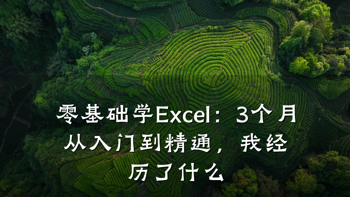 零基础学Excel:3个月从入门到精通,我经历了什么