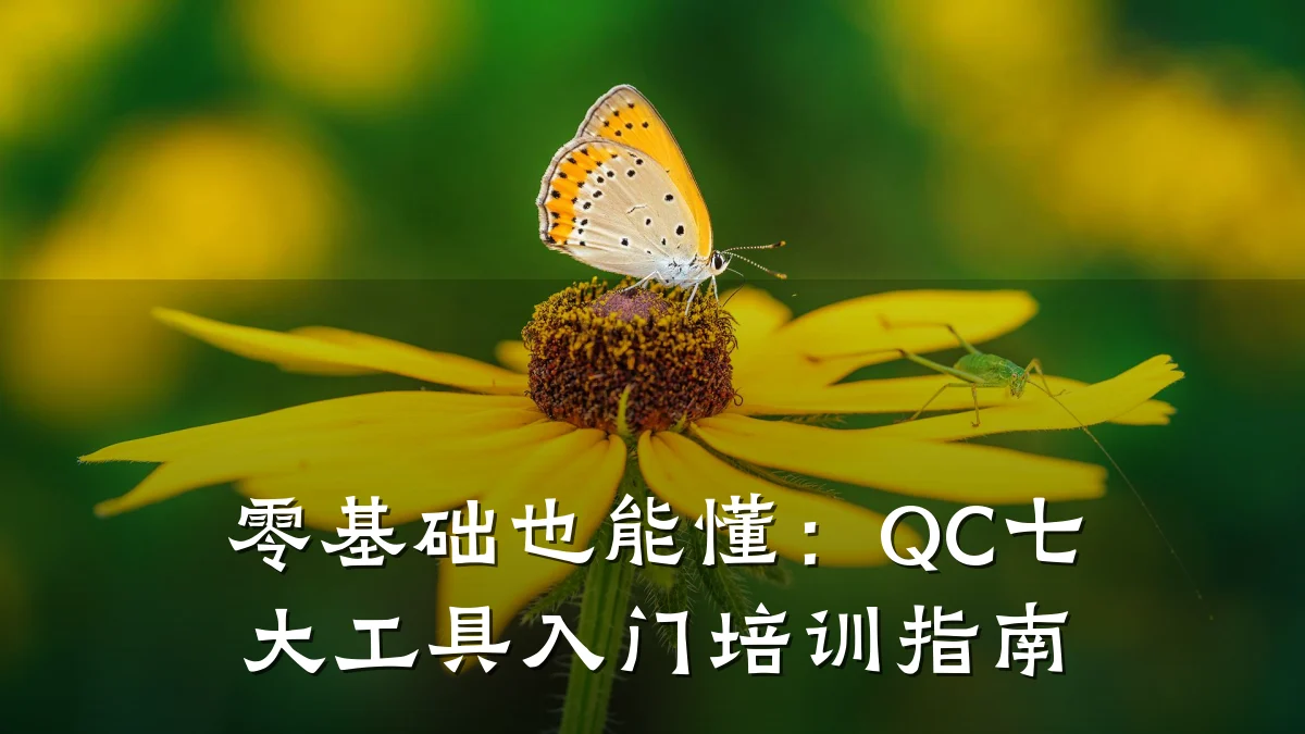 零基础也能懂:QC七大工具入门培训指南