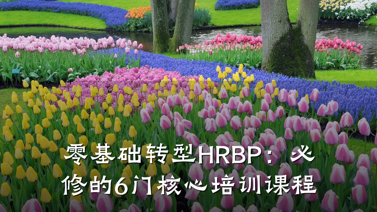 零基础转型HRBP:必修的6门核心培训课程
