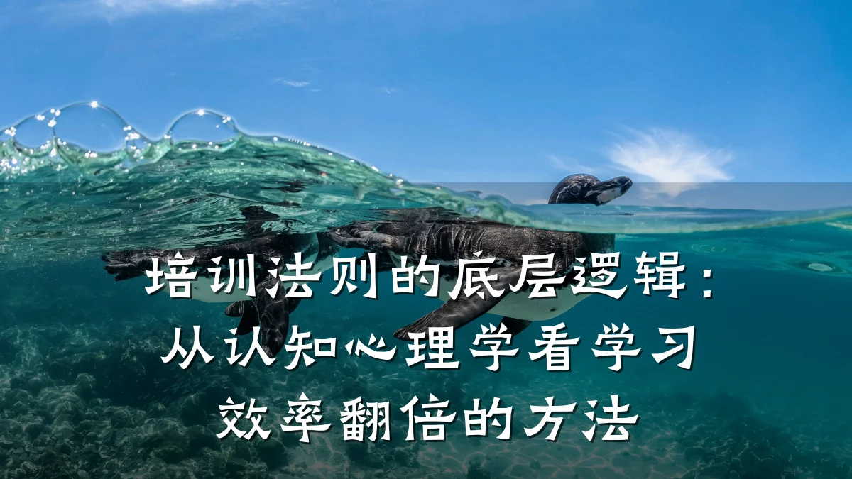 培训法则的底层逻辑:从认知心理学看学习效率翻倍的方法