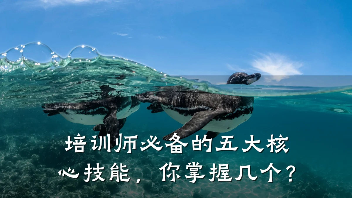 培训师必备的五大核心技能,你掌握几个?
