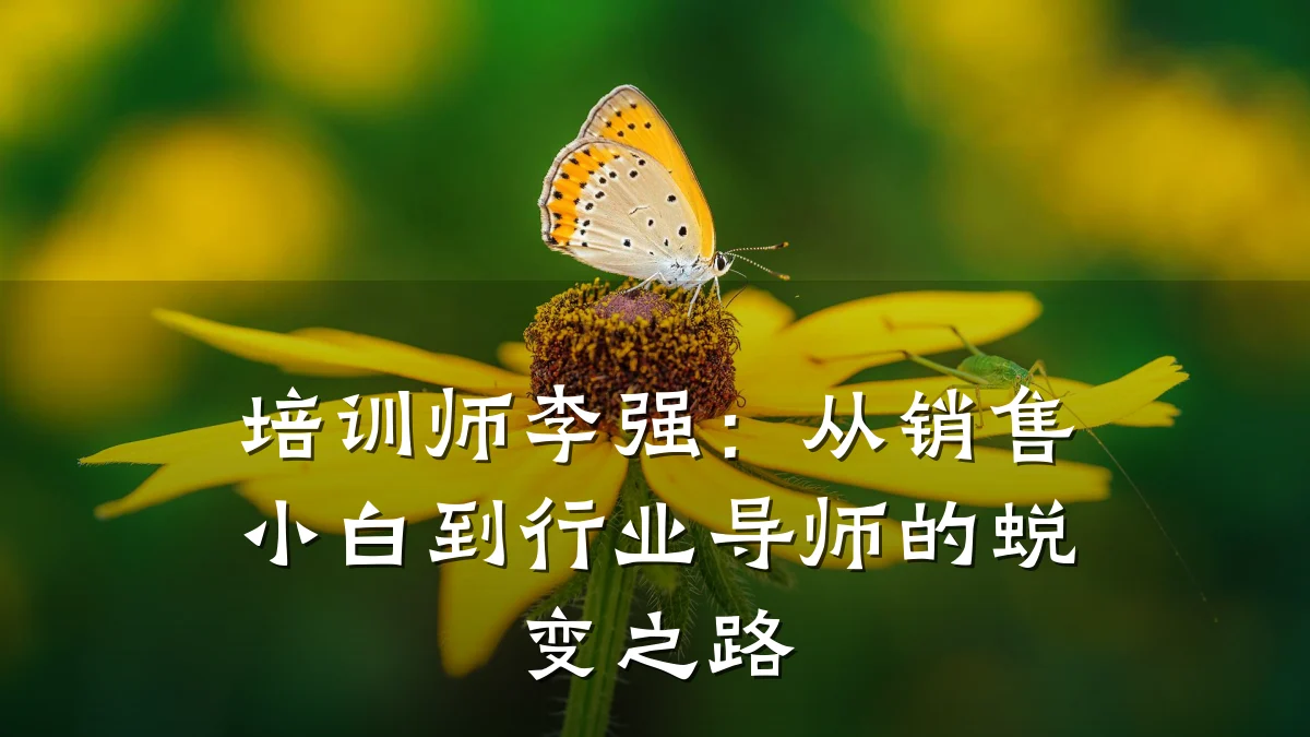培训师李强:从销售小白到行业导师的蜕变之路