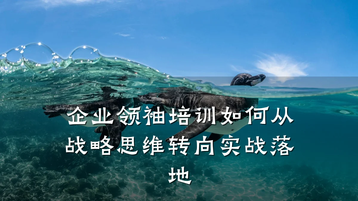 企业领袖培训如何从战略思维转向实战落地
