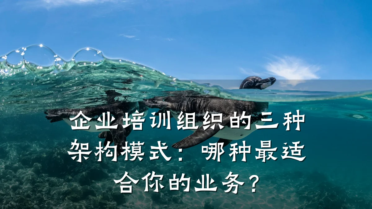 企业培训组织的三种架构模式:哪种最适合你的业务?