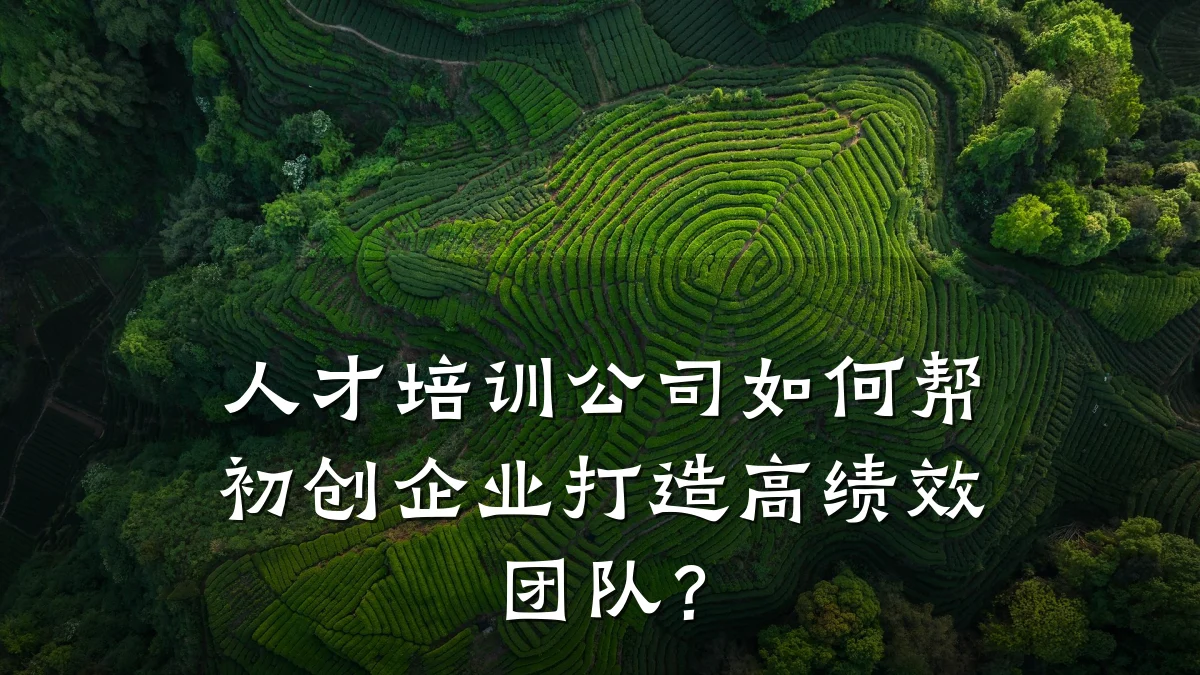 人才培训公司如何帮初创企业打造高绩效团队?
