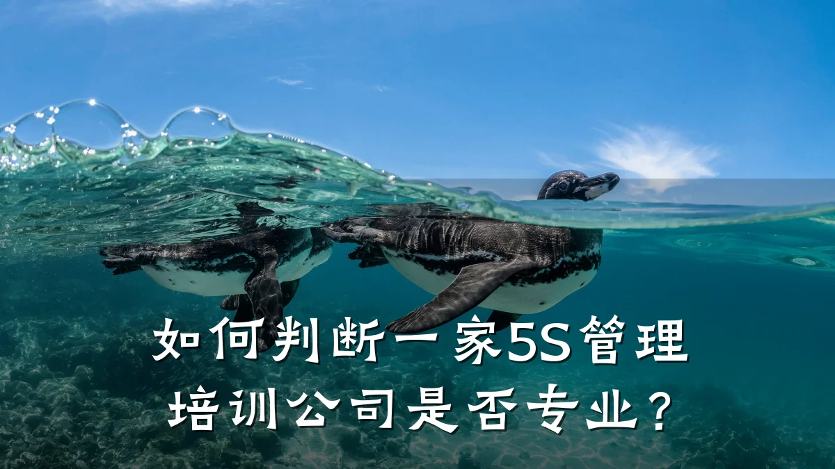 如何判断一家5S管理培训公司是否专业?