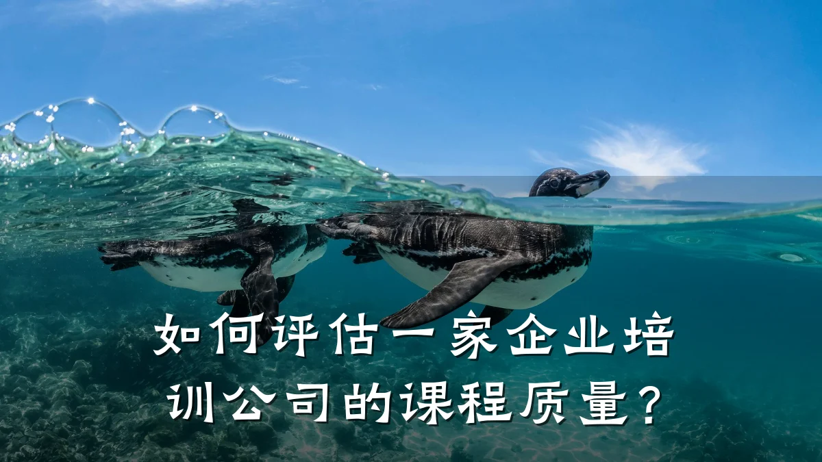 如何评估一家企业培训公司的课程质量?