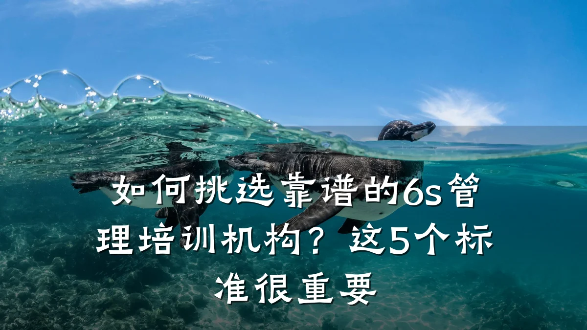 如何挑选靠谱的6s管理培训机构?这5个标准很重要