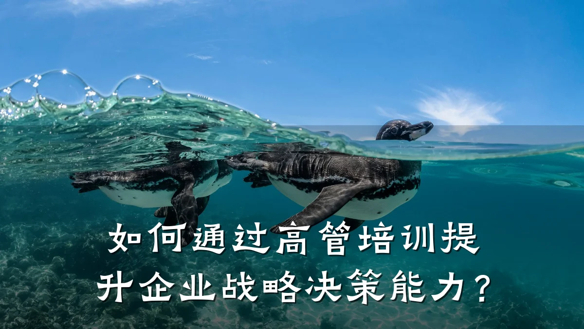 如何通过高管培训提升企业战略决策能力？