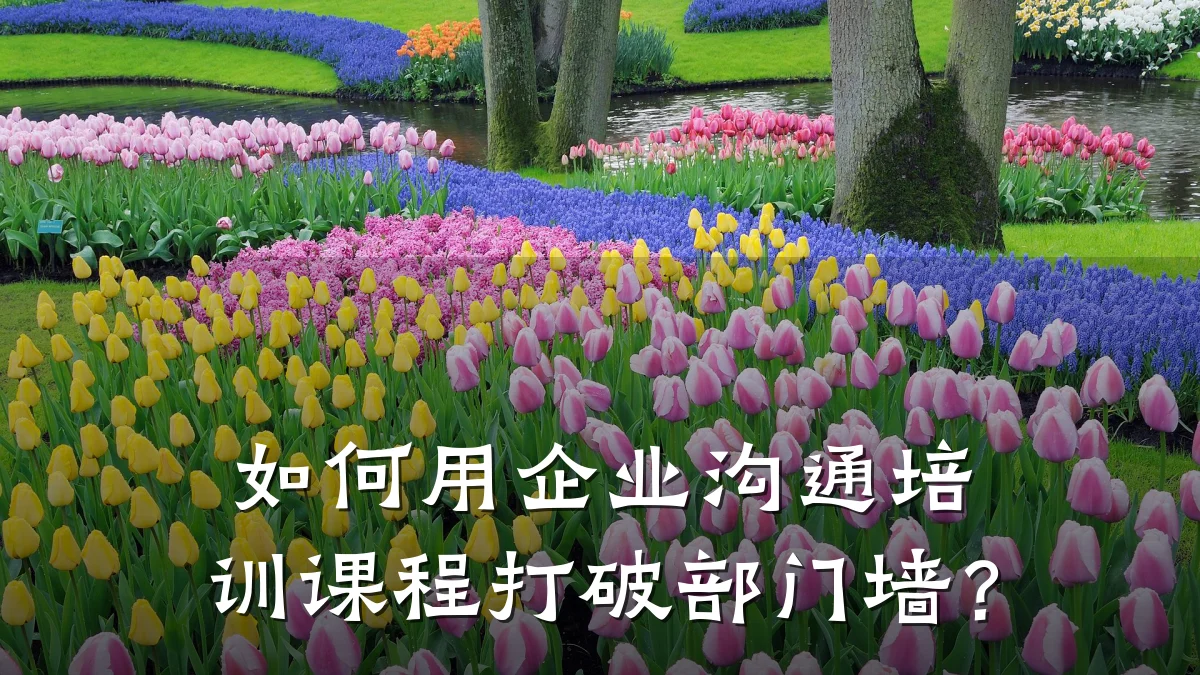 如何用企业沟通培训课程打破部门墙?