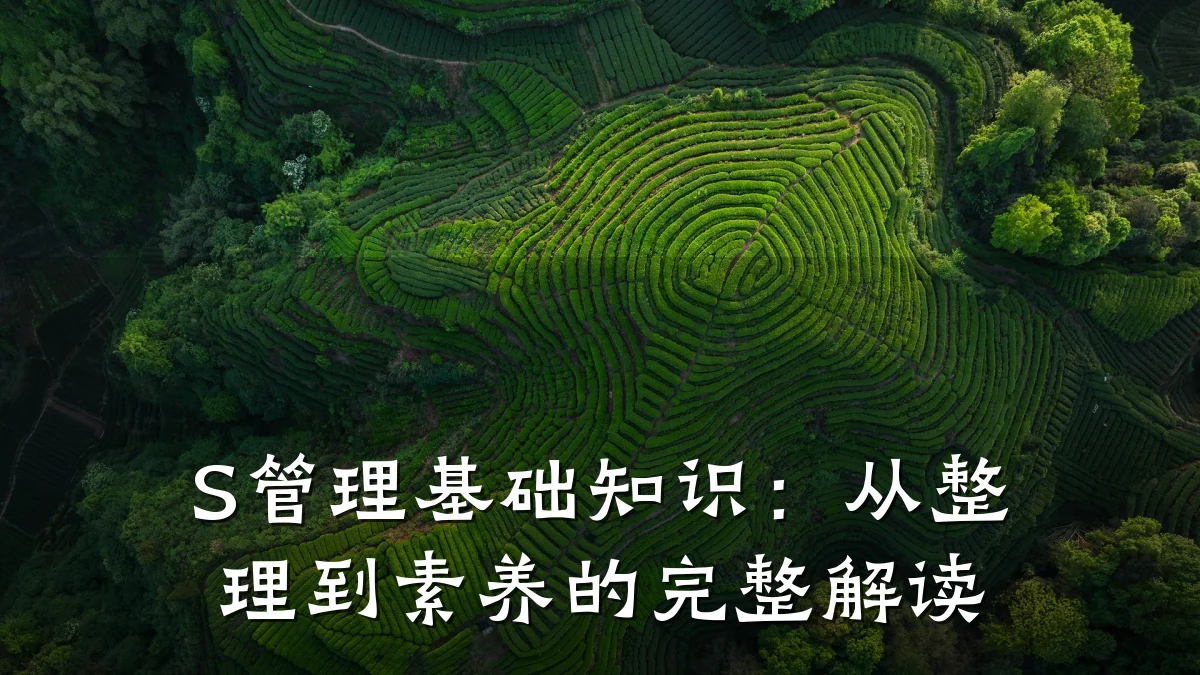 S管理基础知识:从整理到素养的完整解读