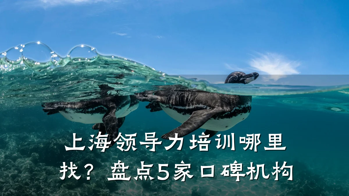 上海领导力培训哪里找?盘点5家口碑机构
