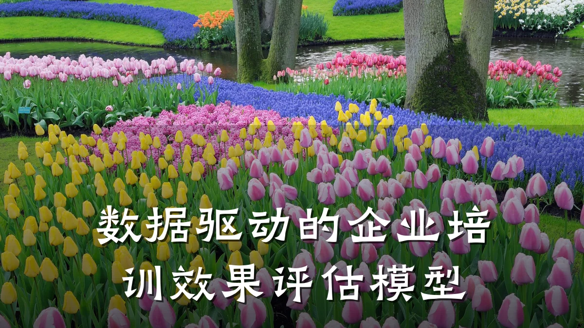数据驱动的企业培训效果评估模型