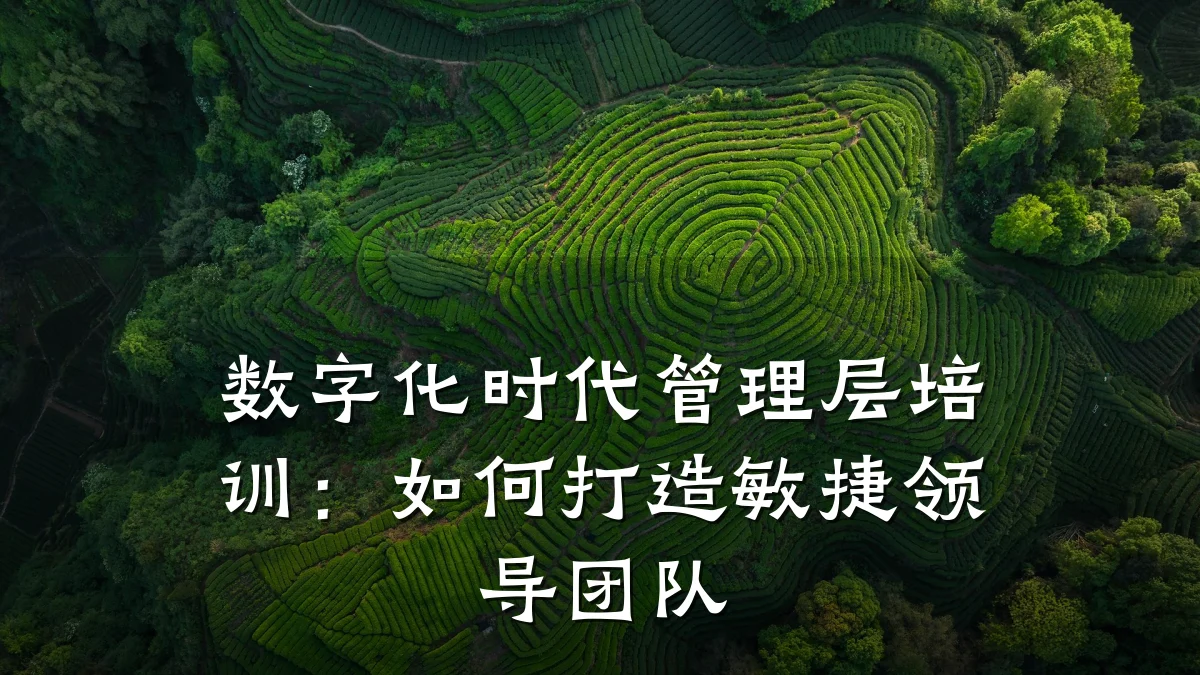 数字化时代管理层培训:如何打造敏捷领导团队