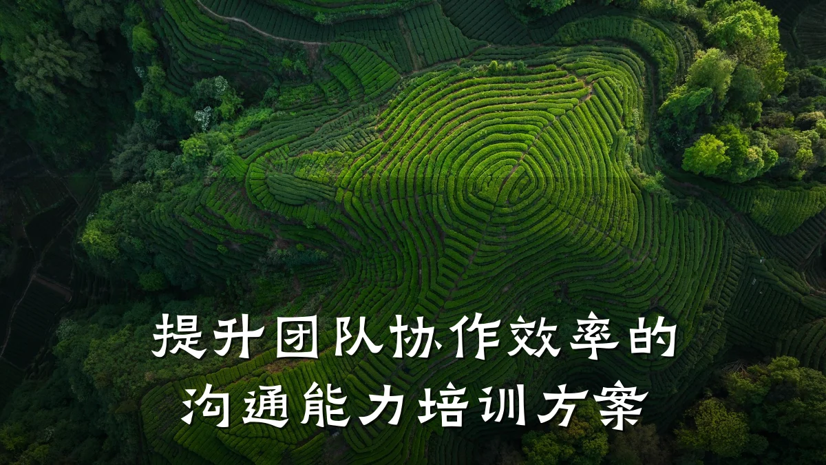 提升团队协作效率的沟通能力培训方案