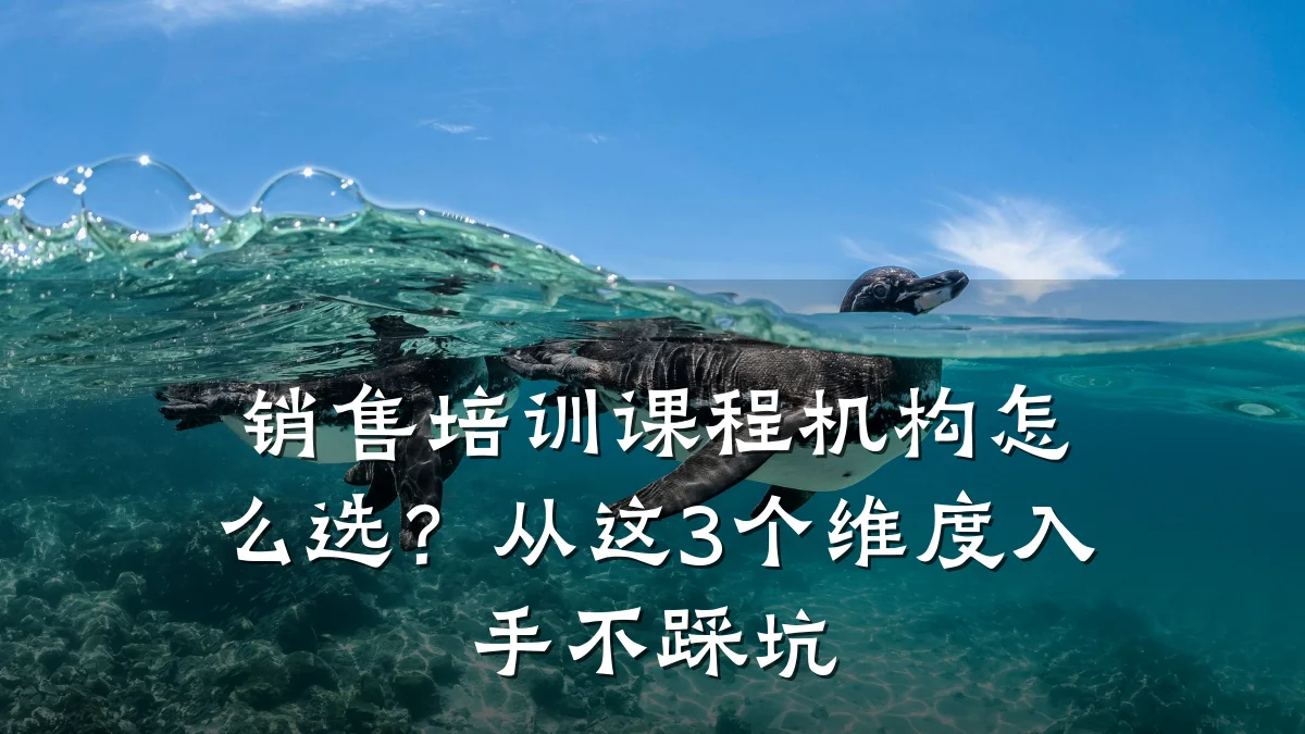 销售培训课程机构怎么选?从这3个维度入手不踩坑