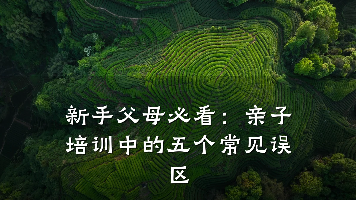 新手父母必看:亲子培训中的五个常见误区