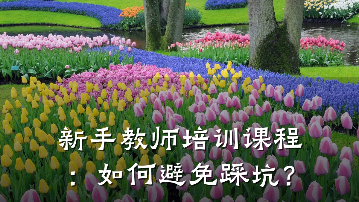 新手教师培训课程:如何避免踩坑?