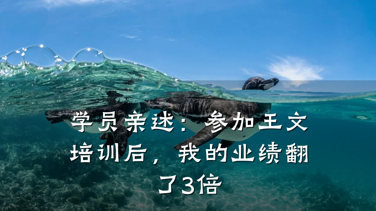 学员亲述：参加王文培训后，我的业绩翻了3倍