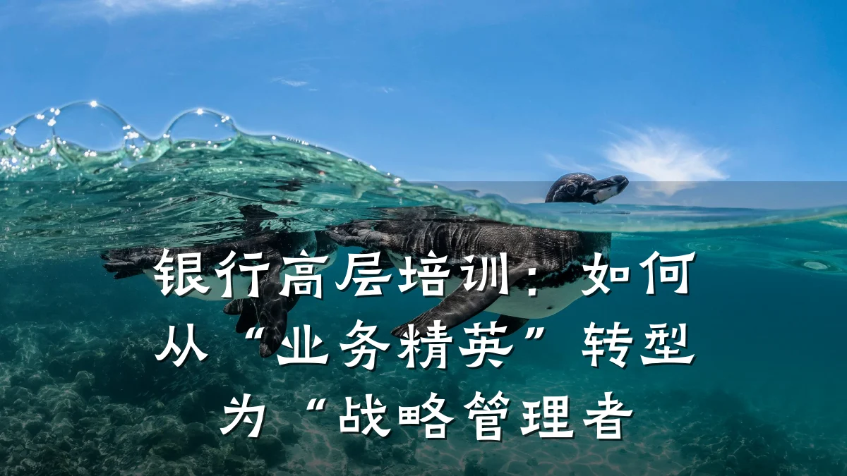 银行高层培训:如何从“业务精英”转型为“战略管理者
