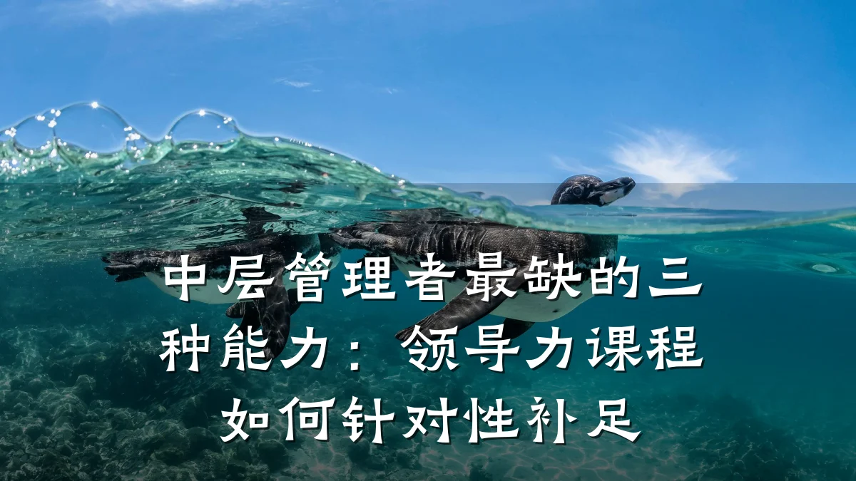 中层管理者最缺的三种能力:领导力课程如何针对性补足