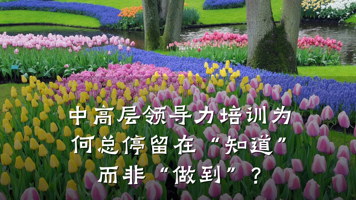 中高层领导力培训为何总停留在“知道”而非“做到”?