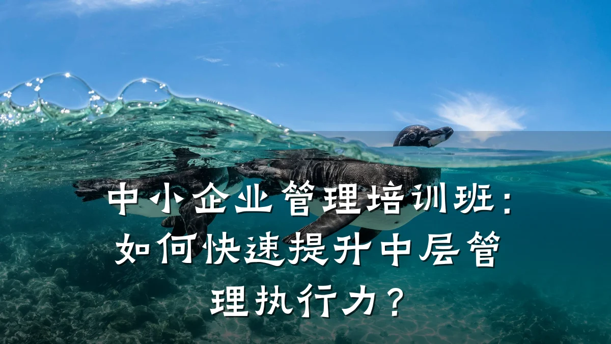 中小企业管理培训班:如何快速提升中层管理执行力?