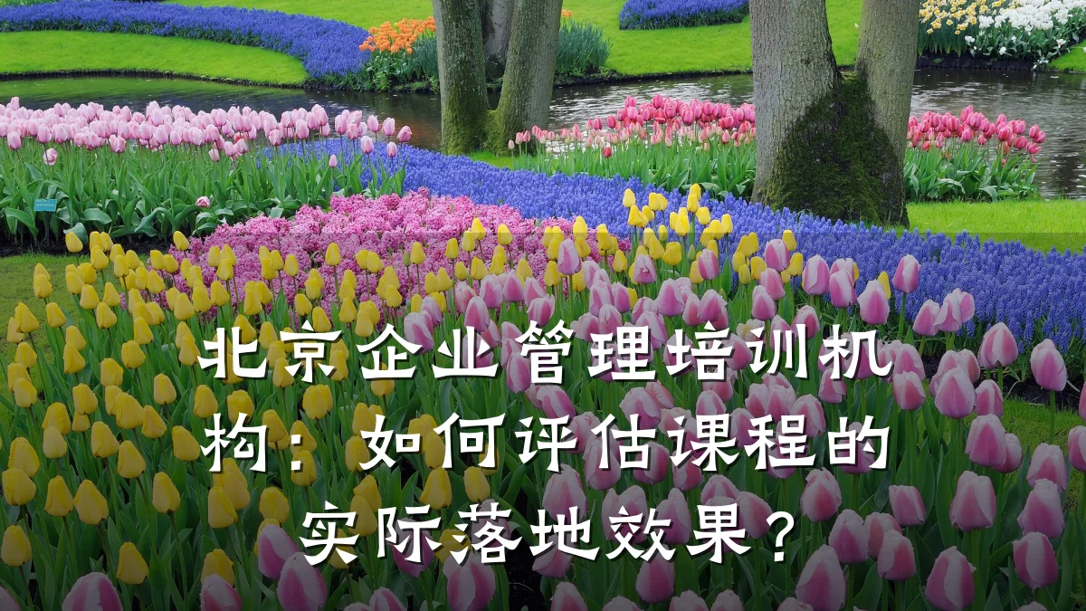 北京企业管理培训机构:如何评估课程的实际落地效果?