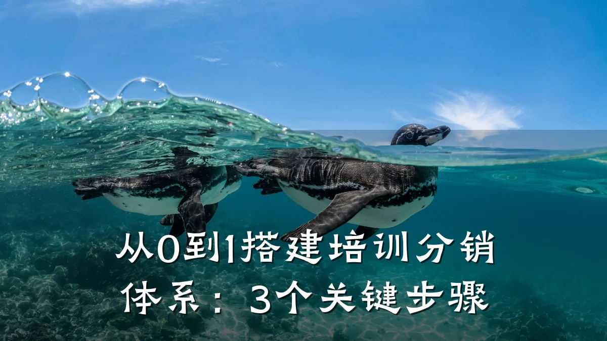 从0到1搭建培训分销体系:3个关键步骤