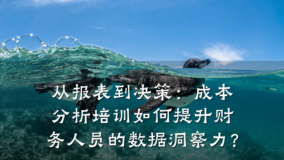 从报表到决策:成本分析培训如何提升财务人员的数据洞察力?