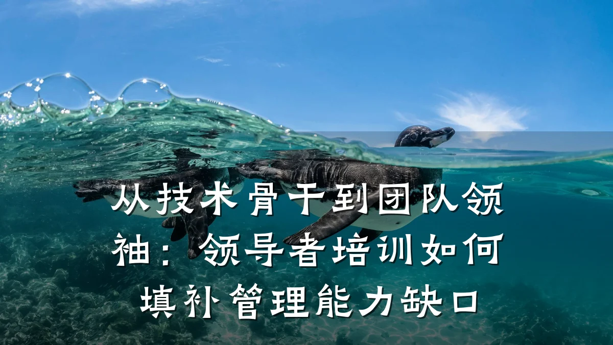 从技术骨干到团队领袖:领导者培训如何填补管理能力缺口