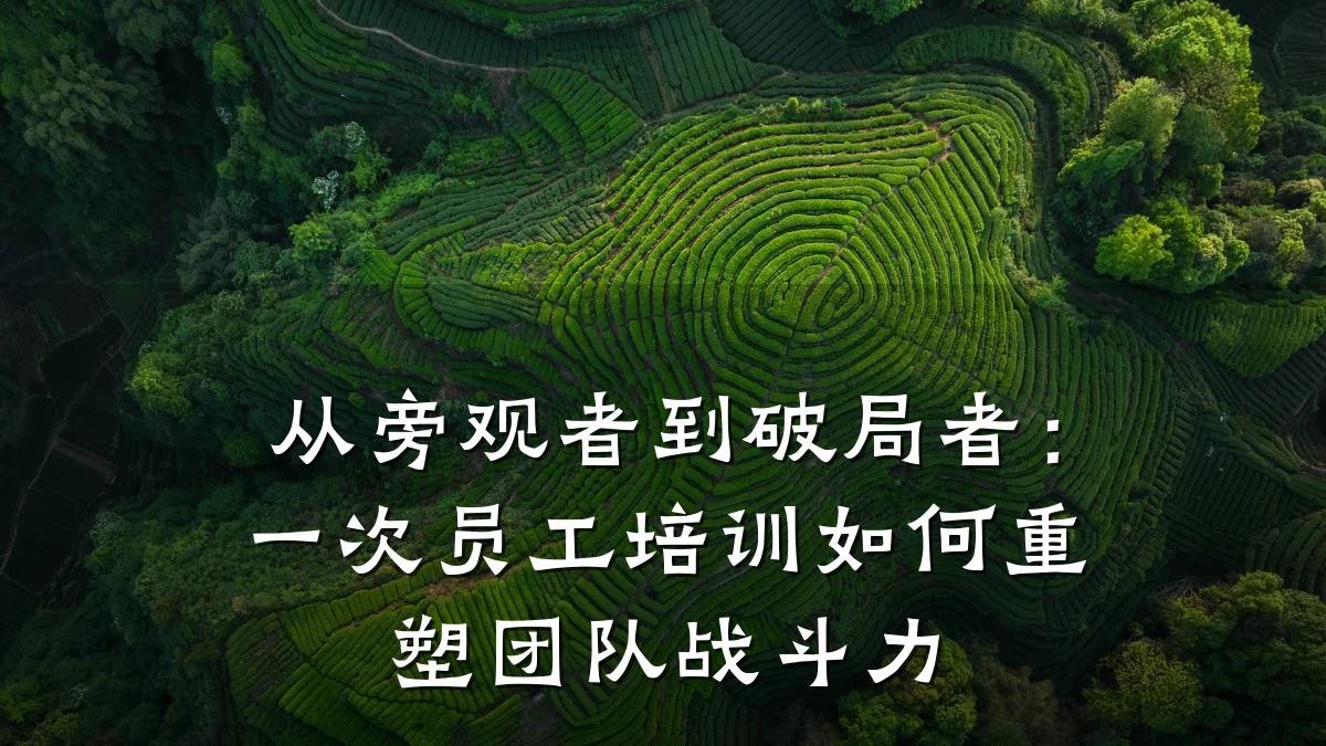 从旁观者到破局者:一次员工培训如何重塑团队战斗力
