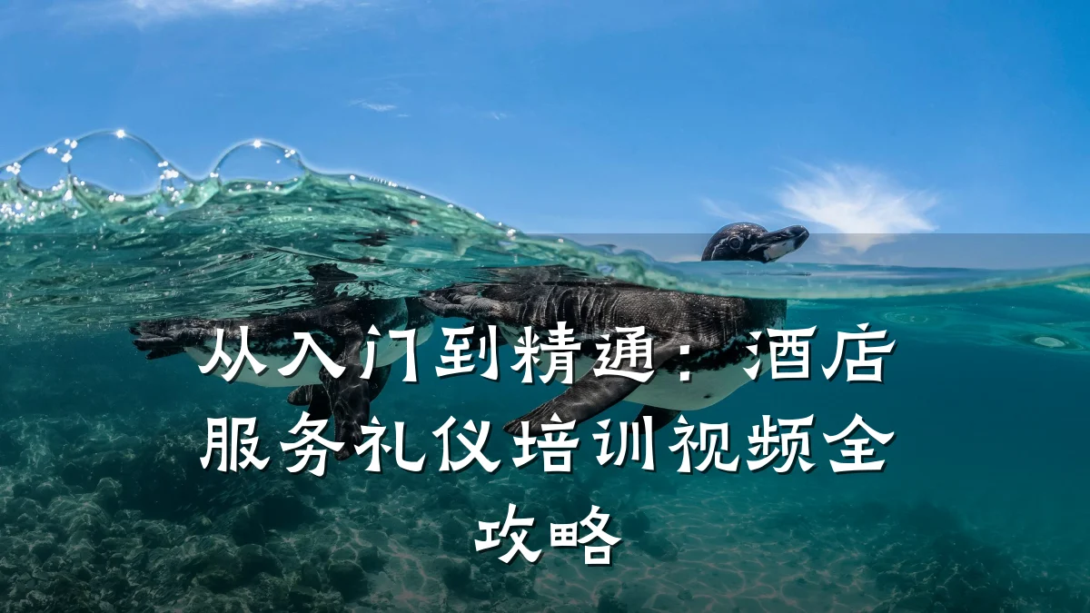 从入门到精通：酒店服务礼仪培训视频全攻略