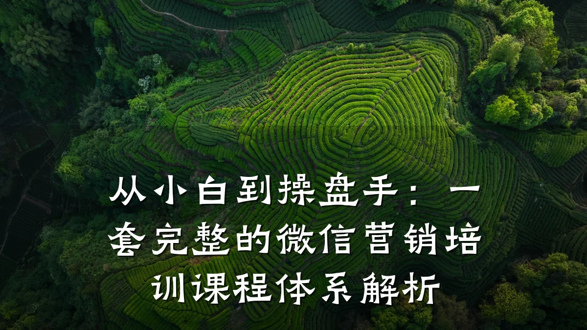 从小白到操盘手:一套完整的微信营销培训课程体系解析