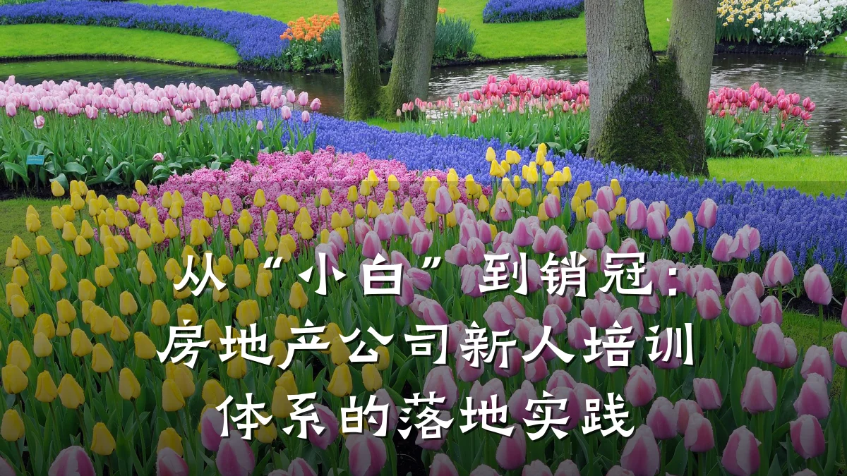 从“小白”到销冠:房地产公司新人培训体系的落地实践
