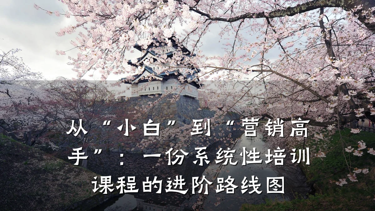 从“小白”到“营销高手”:一份系统性培训课程的进阶路线图