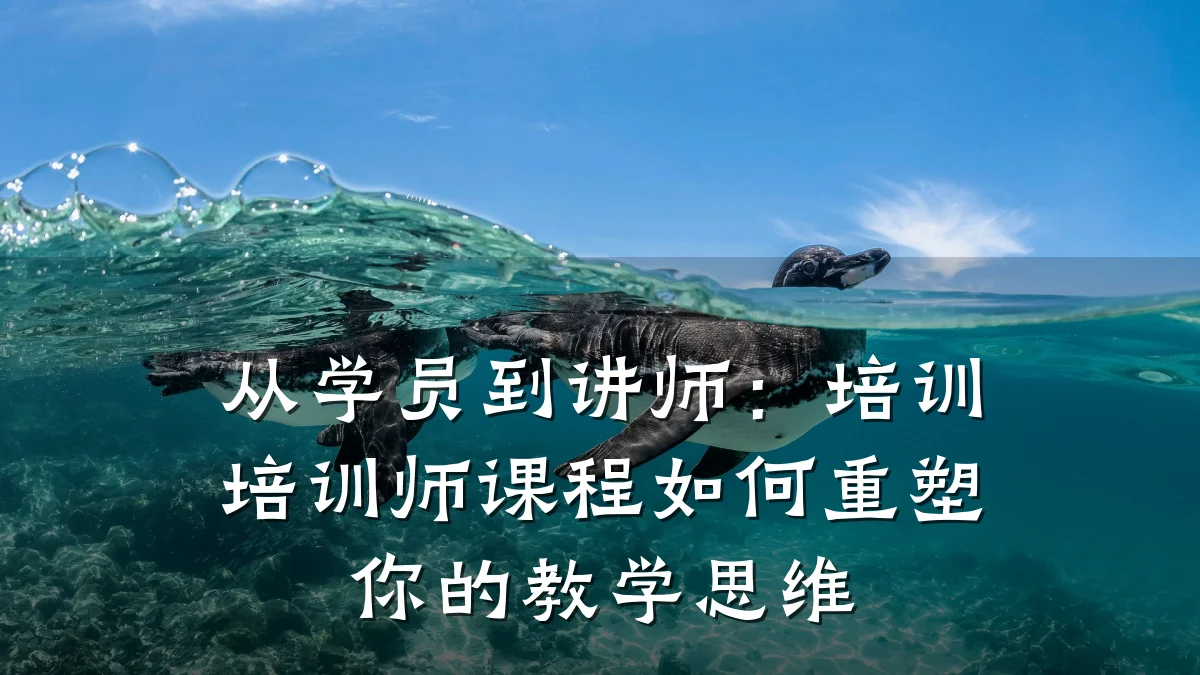 从学员到讲师:培训培训师课程如何重塑你的教学思维