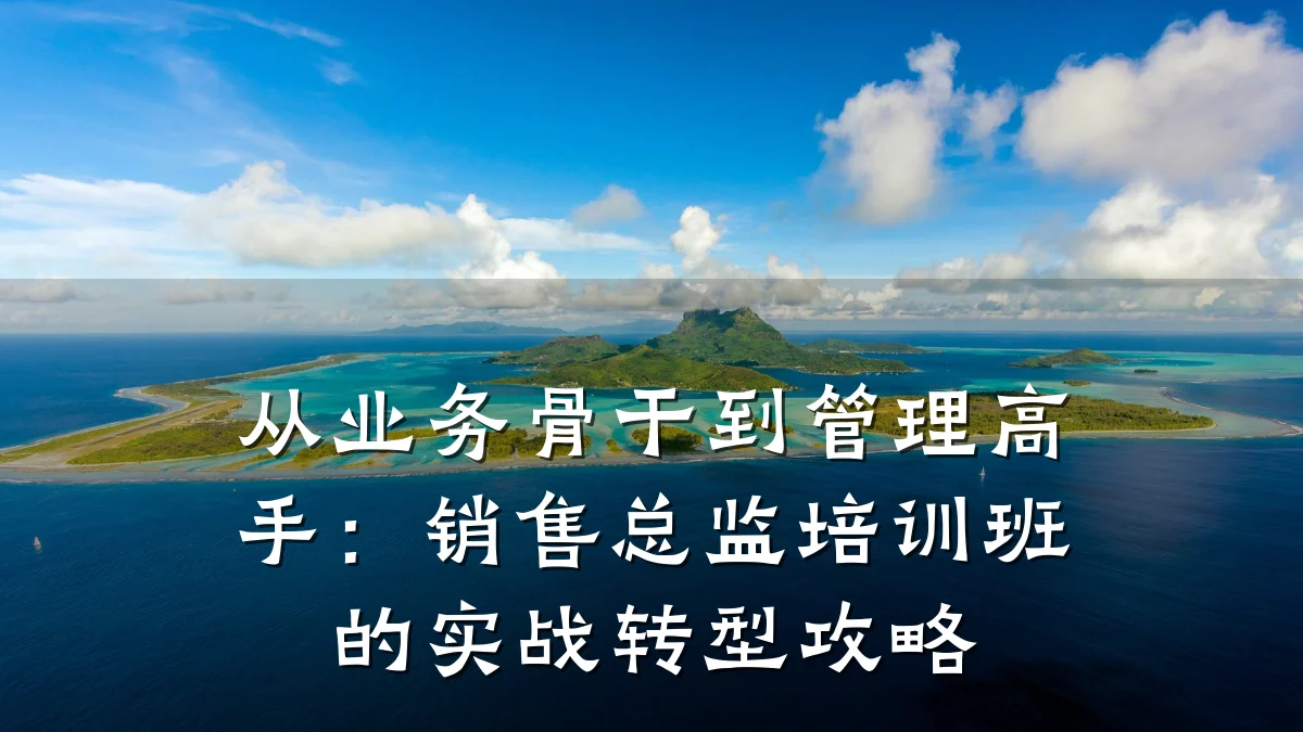 从业务骨干到管理高手:销售总监培训班的实战转型攻略