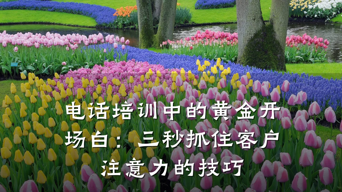 电话培训中的黄金开场白:三秒抓住客户注意力的技巧