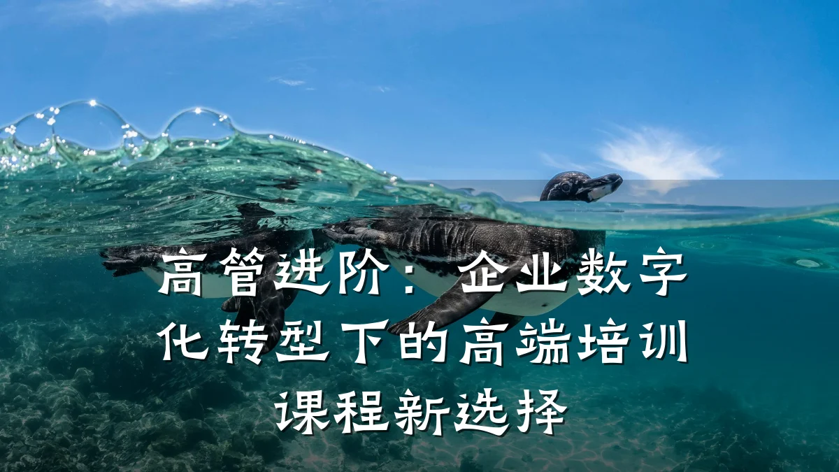 高管进阶:企业数字化转型下的高端培训课程新选择