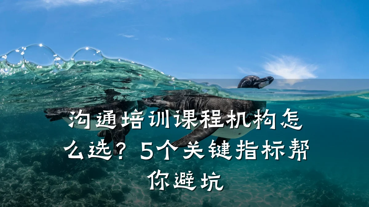 沟通培训课程机构怎么选?5个关键指标帮你避坑