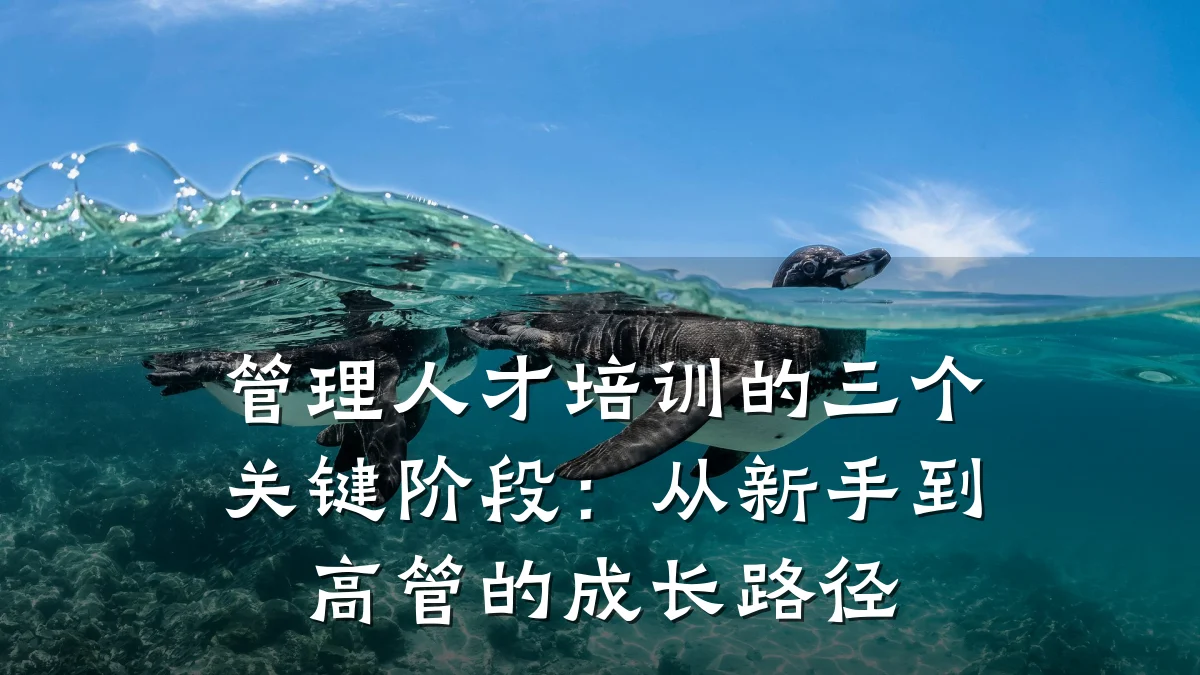 管理人才培训的三个关键阶段:从新手到高管的成长路径