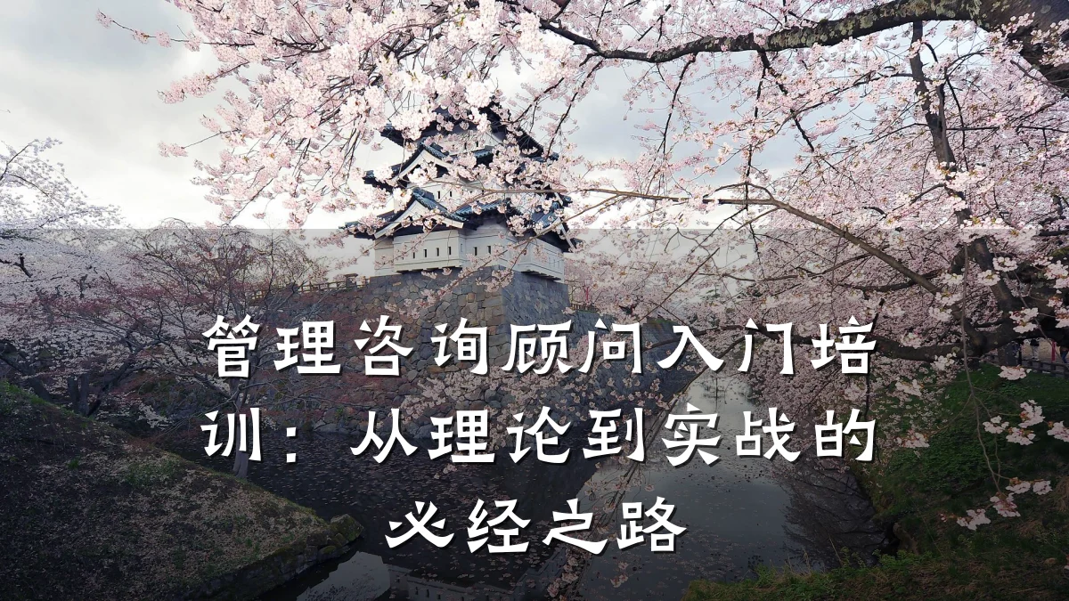 管理咨询顾问入门培训:从理论到实战的必经之路