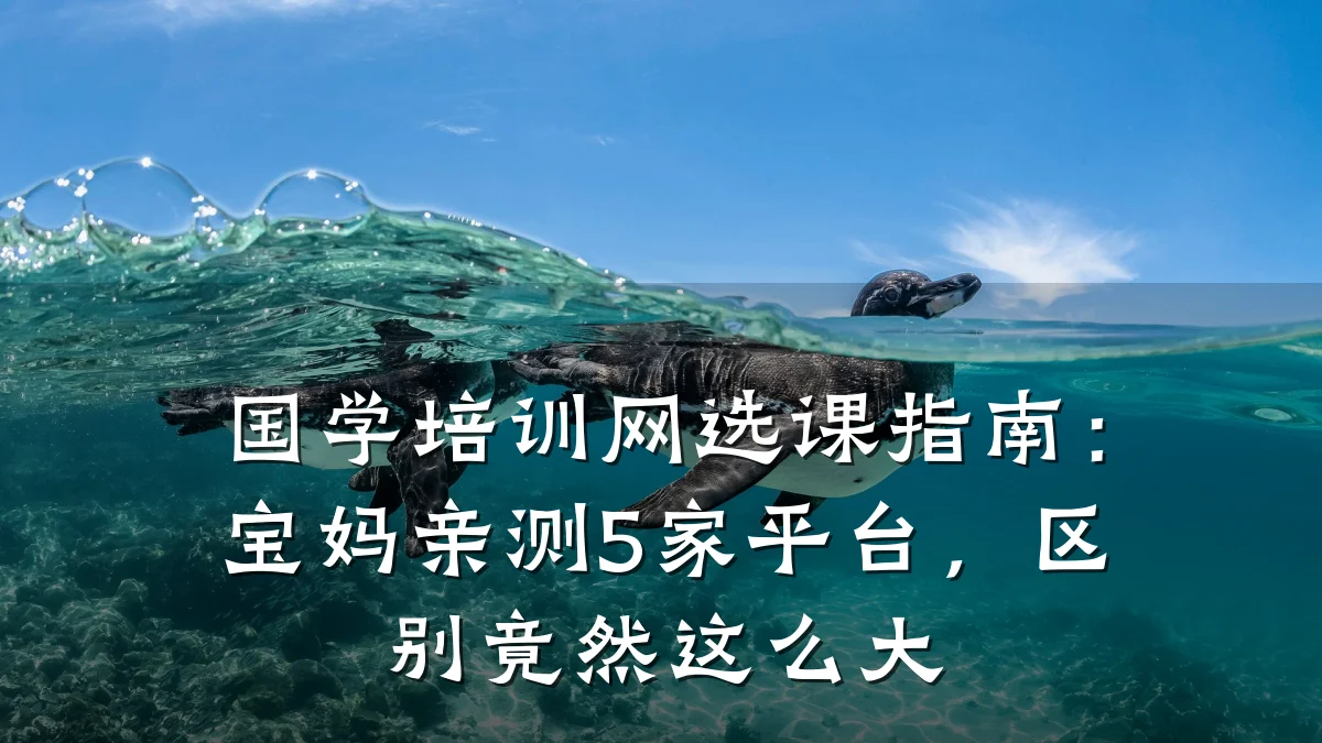 国学培训网选课指南:宝妈亲测5家平台,区别竟然这么大